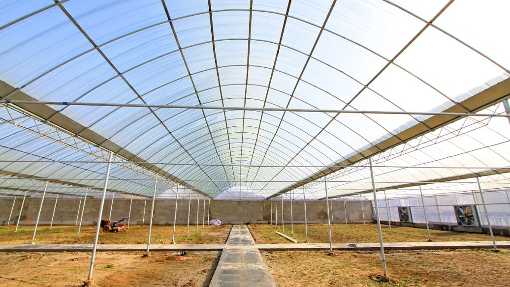 溫室大棚骨架生產(chǎn)廠家 優(yōu)質(zhì)大棚管價格